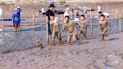 2024年中国滩涂户外运动挑战赛 800人共赴泥泞之约的独特体验