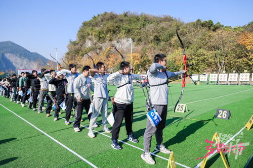 户外赛事新亮点 市射箭联赛人气爆棚，明星选手引关注