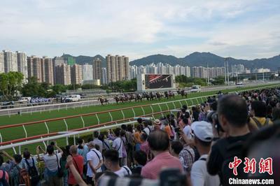 沙田马场盛事 户外赛事的激情与魅力